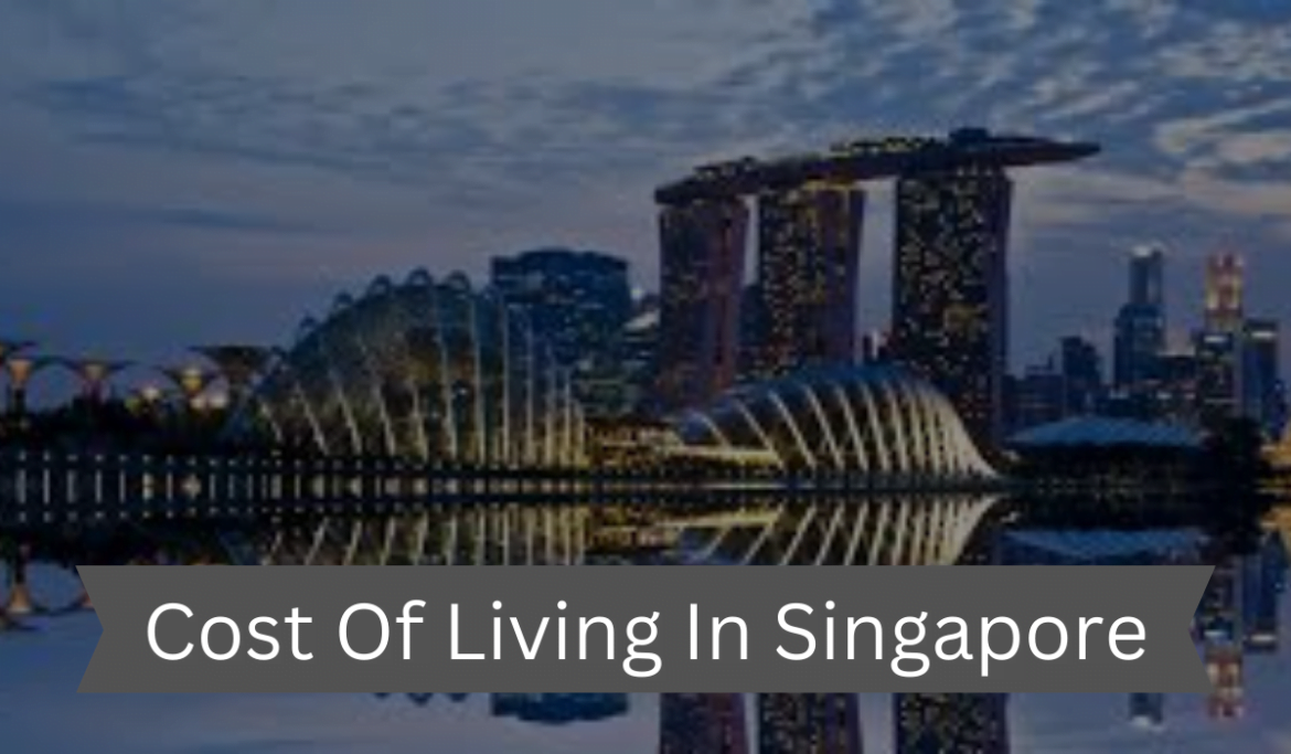 Cost of living in Singapore The Singapore Journal